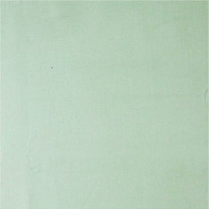 Craft Cotton Company - Homespun Plain Dyed Cotton Spray Green