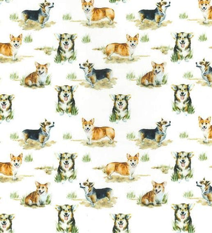 John Louden Welsh Corgi